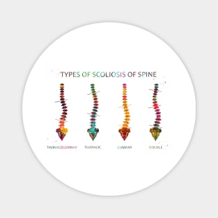 Type of scoliosis of spine Magnet